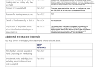 Charity Trustees Annual Report Template (3rd Page) Charity Trustees Annual Report Template (3rd Page)