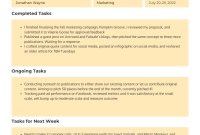 Daily Activity Report Template (2nd Free Download)