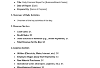 Daily Financial Report Template (1st Free PDF Format)