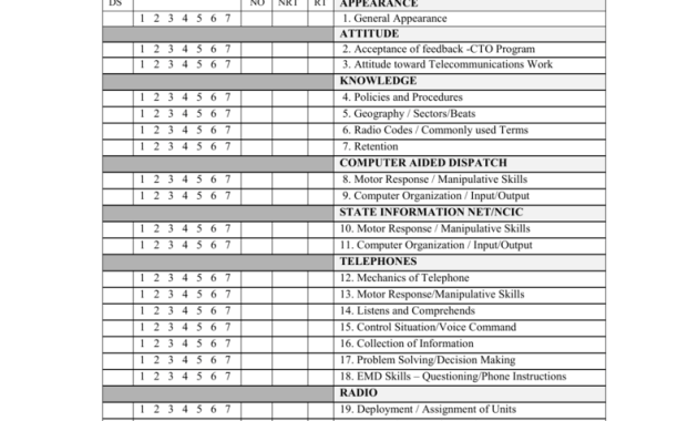 daily observation report template, daily incident report template, daily incident report excel template, police daily observation report template, dispatch daily observation report template, fto daily observation report template, apco daily observation report template, daily safety observation report sample, safety daily observation report format, daily observation report form, free printable daily report template, free daily work report template
