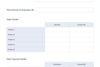 Daily Sales Report Template (1st Free Fillable Format) daily sales report template, daily cash sales report template, retail daily sales report template, sales daily activity report template, daily sales summary report template, daily sales call report template, daily sales report format pdf, daily sales report form