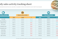 Daily Sales Tracking Report Template (2nd Best Sample)