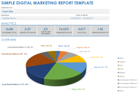 Digital Marketing Report Template (3rd Best Design)