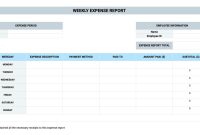 Weekly Expense Report Template (3rd Main Option)