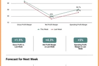 Weekly Financial Report Template (1st Best Sample)