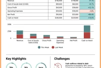 Weekly Financial Report Template (2nd Best Sample)