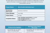 Weekly Project Status Report Template (3rd Best Sample) Weekly Project Status Report Template (3rd Best Sample)