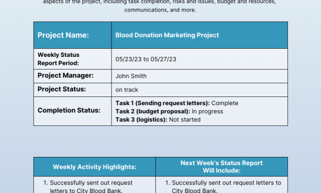 weekly progress report template, weekly project progress report template, weekly project status report template, weekly site progress report template, weekly construction progress report template, weekly student progress report template, weekly training progress report template, weekly job progress report template, weekly progress report format, weekly progress report sample