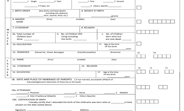 certificate of live birth template, certificate of live birth from hospital template, certificate of live birth florida template, certificate of live birth illinois template, certificate of live birth psa template, certificate of live birth california template, certificate of live birth maryland template, certificate of birth template, birth certificate template