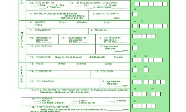 birth certificate template, birth certificate translation template, certificate of birth translation template, birth certificate blank template, birth certificate affidavit template, birth certificate california template, certificate of birth template, certificate of live birth template, printable birth certificate