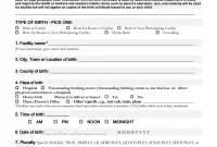 Certificate of Live Birth Template (3rd Free PDF Form) Certificate of Live Birth Template (3rd Free PDF Form)
