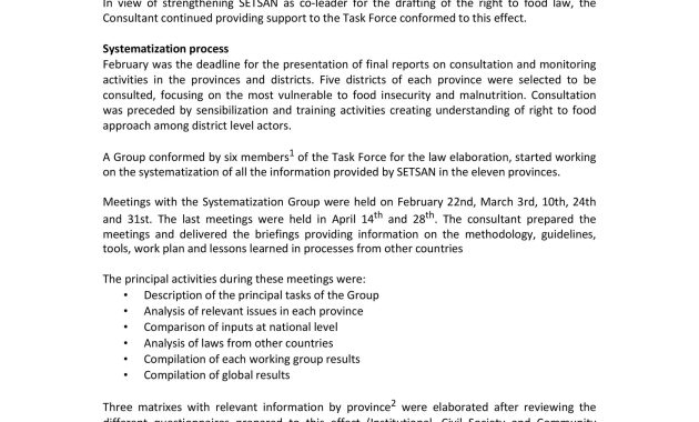 consultant report template, consulting report template, consultancy report template, consultant progress report template, consultancy inception report template, consultant site visit report template, consultant activity report template, consulting project report template, consultant report format, consulting final report template