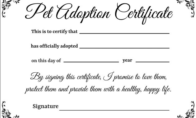 animal adoption certificate template, free printable animal adoption certificate, animal adoption certificate printable, pet adoption certificate template, pet rock adoption certificate template, cat adoption certificate template, dog adoption certificate template, cat adoption certificate free printable, animal adoption form template