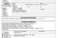 Police Supplemental Report Template (2026 Domestic Violence Design)