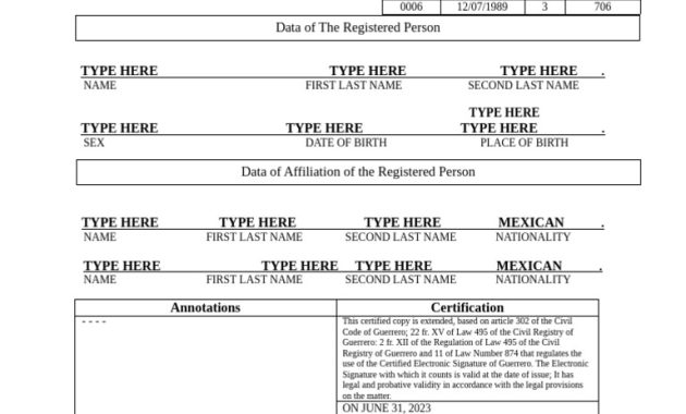 birth certificate translation template, birth certificate translation from russian to english template, birth certificate translation to spanish template, certificate of birth translation template, birth certificate translation template uscis, translation of mexican birth certificate to english template, certificate of birth template, birth certificate template
