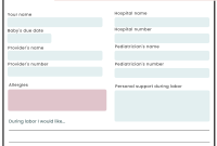 Birth Plan Template (1st Free Beautiful Design)