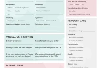 Birth Plan Template (2nd Free Beautiful Design)