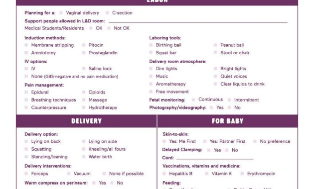 birth plan template, basic birth plan template, hospital birth plan template, my birth plan template, c section birth plan template, detailed birth plan template, visual birth plan template, birth planning template