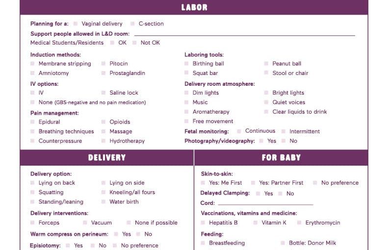 Birth Plan Template: 8+ Best Designs for Your Big Day! 1 Birth Plan Template: 8+ Best Designs for Your Big Day!