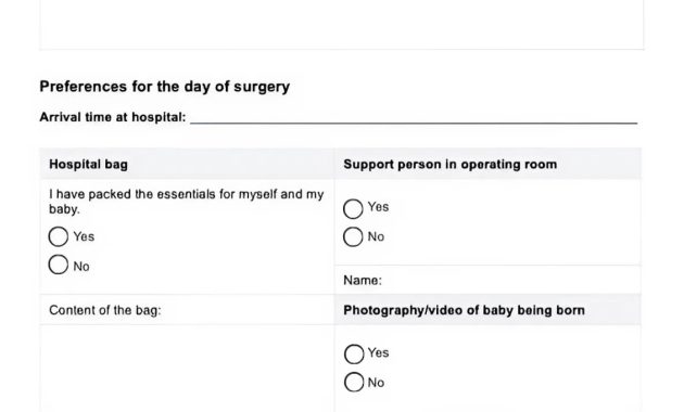 birth plan template, basic birth plan template, hospital birth plan template, my birth plan template, c section birth plan template, detailed birth plan template, visual birth plan template, birth planning template