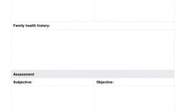 nursing care plan template, nurse care plan template, nursery care plan template, nursing discharge care plan template, nursing home care plan template, family nursing care plan, nursing diagnosis care plan template, nanda nursing care plan template, nursing care plan format template
