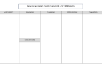 Family Nursing Care Plan for Hypertension Template Family Nursing Care Plan for Hypertension Template