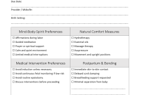 Holistic Birth Plan Template (2nd Basic Design) Holistic Birth Plan Template (2nd Basic Design)