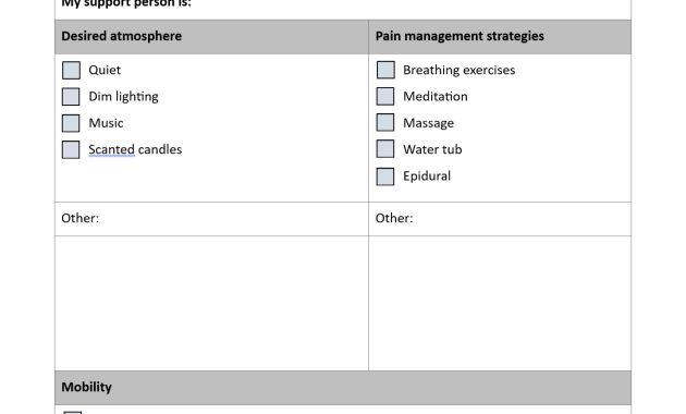 natural birth plan template, natural childbirth birth plan template, natural hospital birth plan template, mama natural birth plan template, holistic birth plan template, unmedicated birth plan template, downloadable birth plan template, natural birth plan for hospital template, mama natural visual birth plan template, free editable birth plan template
