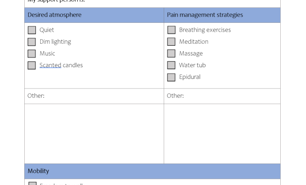 natural birth plan template, natural childbirth birth plan template, natural hospital birth plan template, mama natural birth plan template, holistic birth plan template, unmedicated birth plan template, downloadable birth plan template, natural birth plan for hospital template, mama natural visual birth plan template, free editable birth plan template