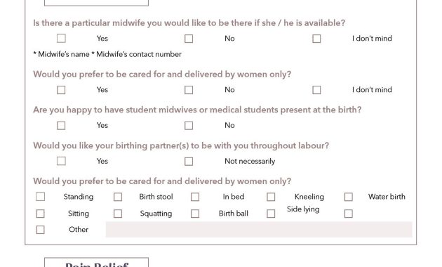 birth plan template, basic birth plan template, hospital birth plan template, my birth plan template, c section birth plan template, detailed birth plan template, visual birth plan template, birth planning template
