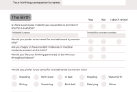 My Natural Birth Plan Template (1st Detailed Checklist Design)