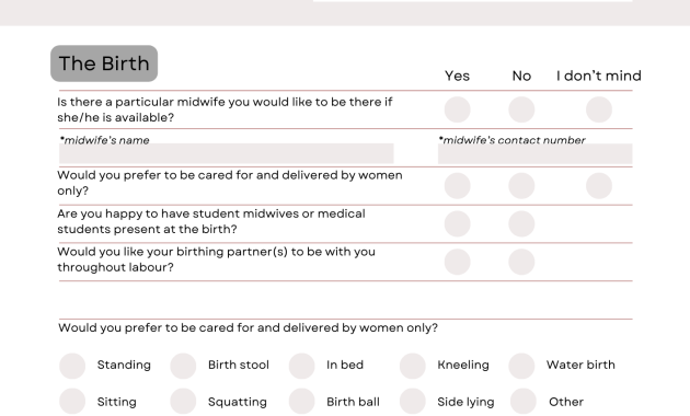 natural birth plan template, natural childbirth birth plan template, natural hospital birth plan template, mama natural birth plan template, holistic birth plan template, unmedicated birth plan template, downloadable birth plan template, natural birth plan for hospital template, mama natural visual birth plan template, free editable birth plan template