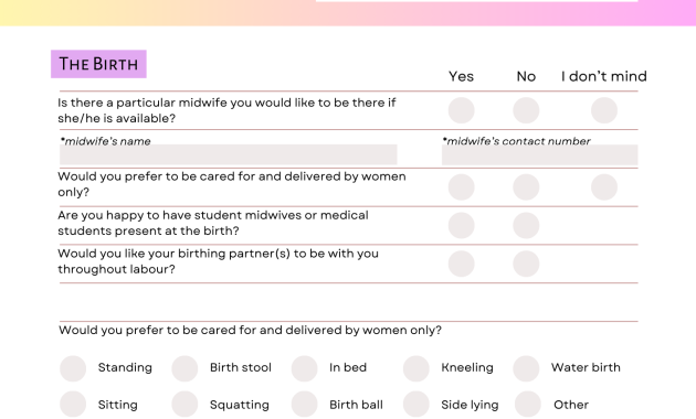 natural birth plan template, natural childbirth birth plan template, natural hospital birth plan template, mama natural birth plan template, holistic birth plan template, unmedicated birth plan template, downloadable birth plan template, natural birth plan for hospital template, mama natural visual birth plan template, free editable birth plan template