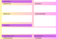 Nursing Care Plan Template (2nd Professional Design)
