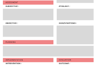 Nursing Care Plan Template (3rd Professional Design)