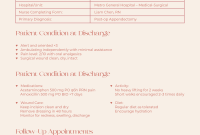 Nursing Discharge Care Plan Template (1st Best Sample)