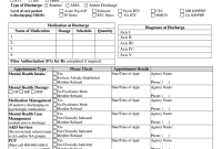 Nursing Discharge Care Plan Template (2nd Best Sample)