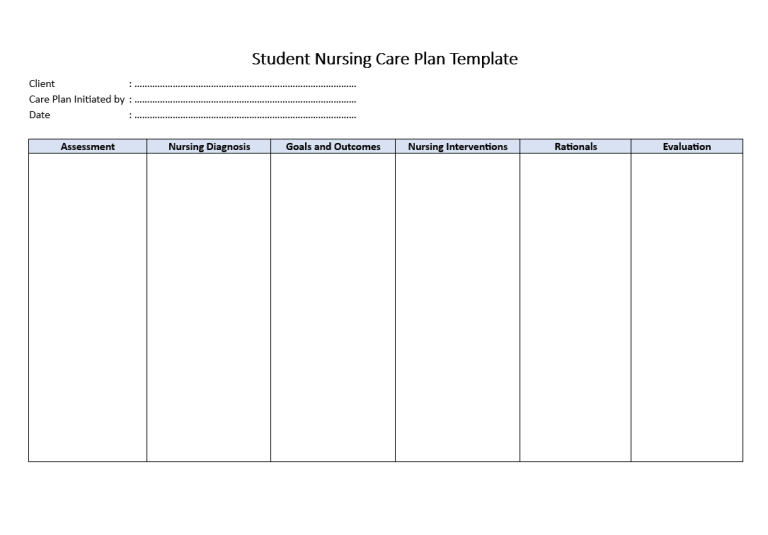 Student Nursing Care Plan Template (Landscape Format) | Two Package ...